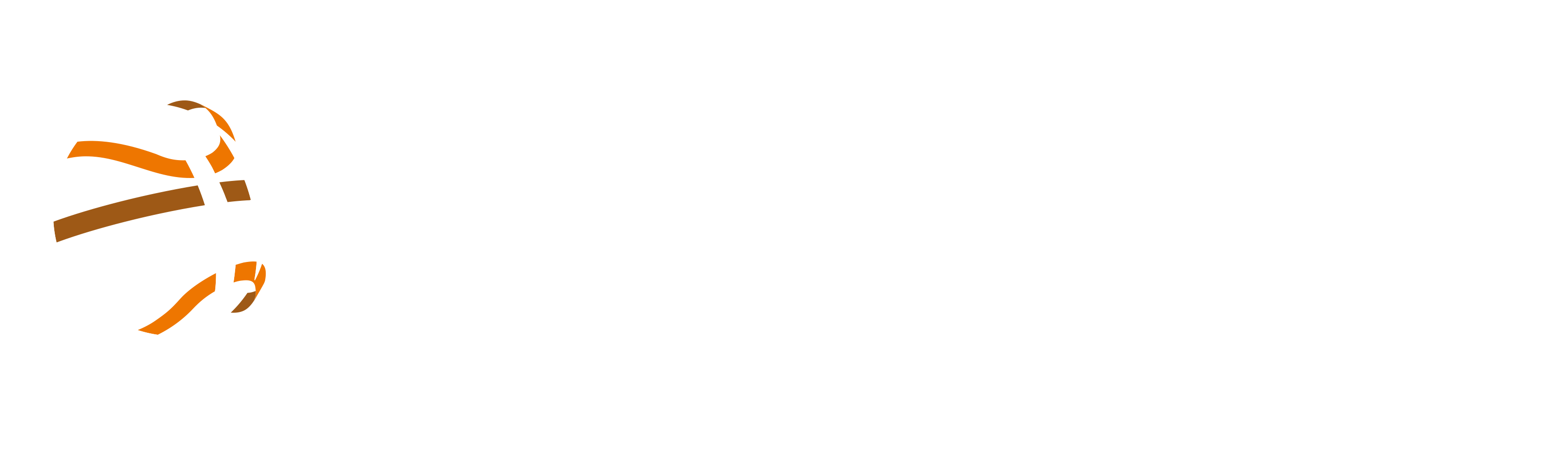 eurohoops.net logo